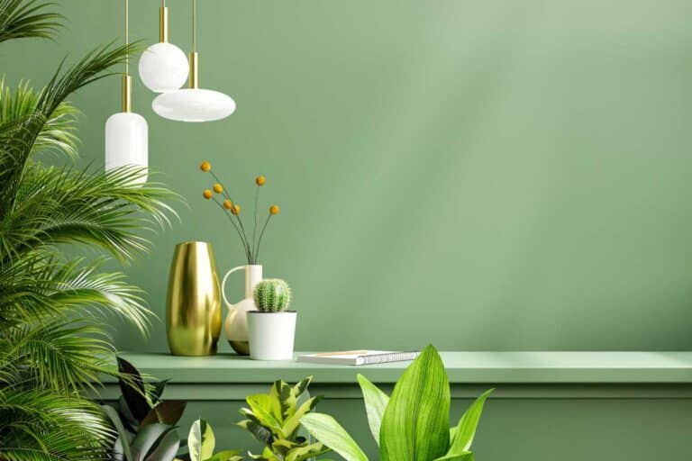 Plante Verte Salon Éclatant 1