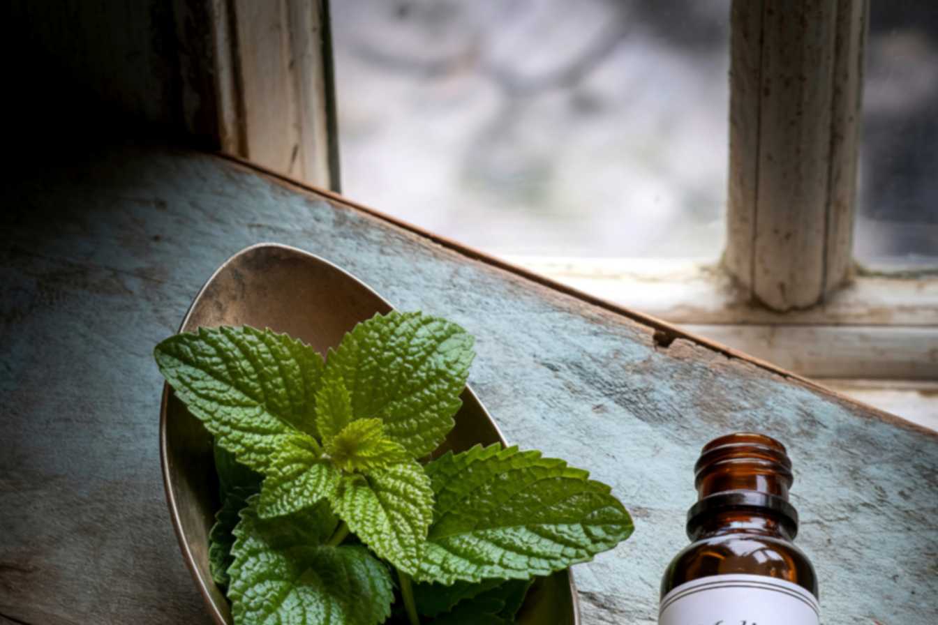 maladie-citronnier-identifier-prevenir-et-traiter-les-10-problemes-les-plus-frequents-3