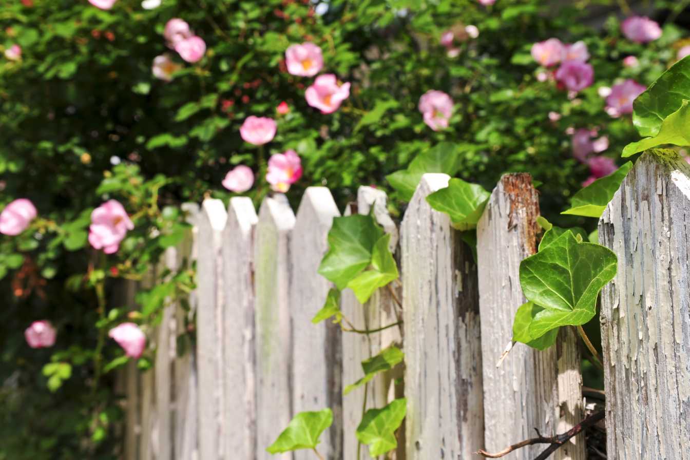 separations-jardin-2
